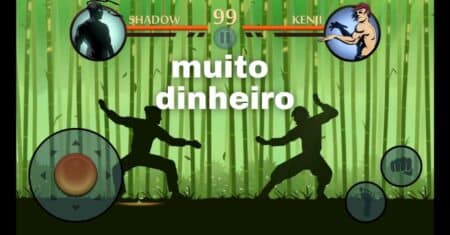 É Possível Ter Dinheiro Infinito no Shadow Fight 2? Descubra Aqui!